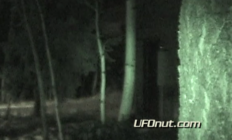 Bailey Bigfoot Investigation