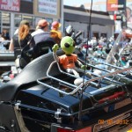 UFOnut at the 2012, 72nd Sturgis Motorcycle Rally, South Dakota